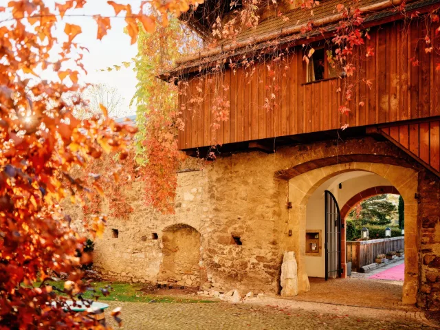 Hotel Schloss Gabelhofen